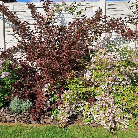 Apartamento Rubin Nesvady