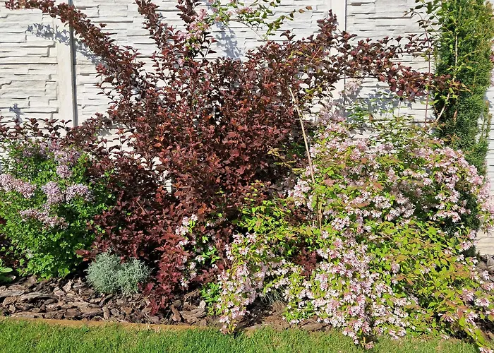 公寓 Rubin Nesvady